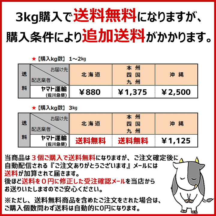 送料無料