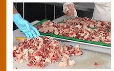 牛とろに使われる肉を切り分けて冷凍