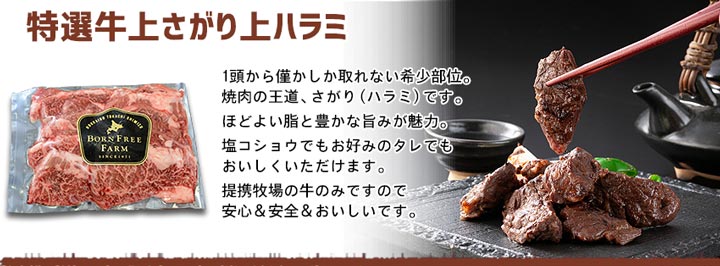 特選牛　上さがり上ハラミ