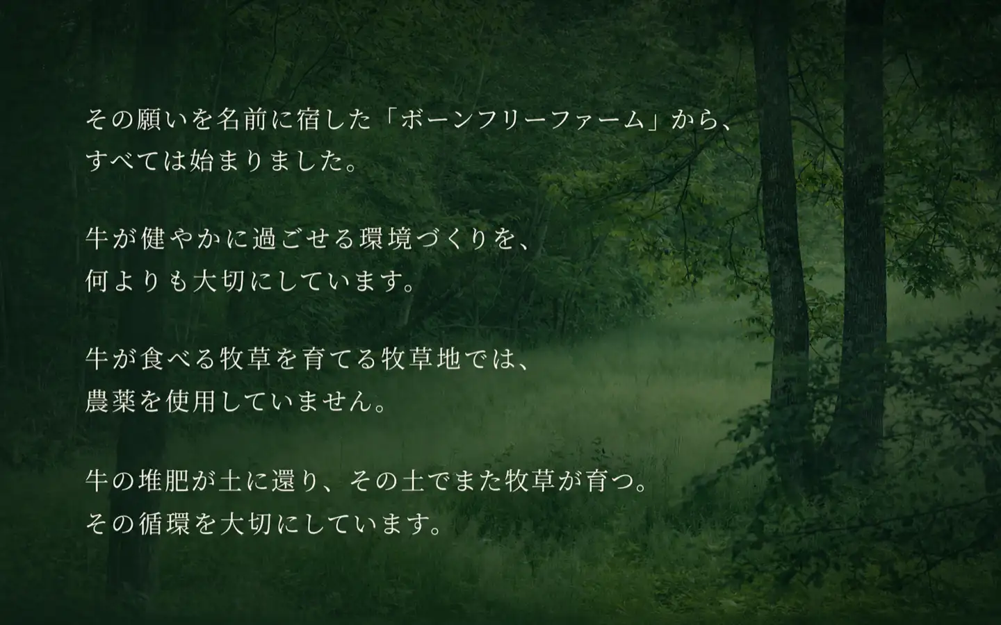 その願いを名前に宿したボーンフリーファームから、すべては始まりました。牛が健やかに過ごせる環境づくりを、何よりも大切にしています。,牛が食べる牧草を育てる牧草地では、農薬を使用していません。,牛の堆肥が土に還り、その土でまた牧草が育つ。,その循環を大切にしています。