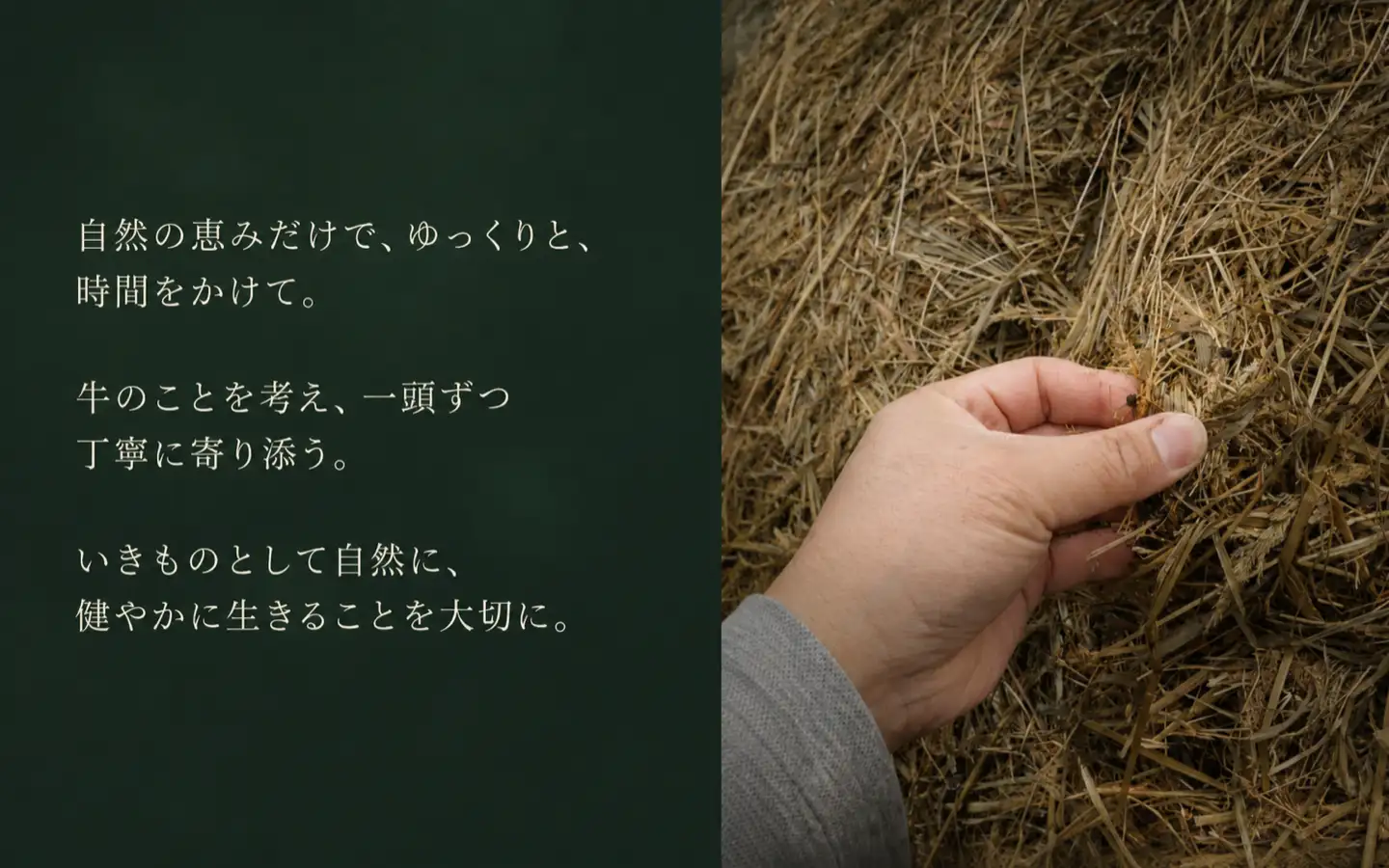 自然の恵みだけで、ゆっくりと、時間をかけて。,牛のことを考え、一頭ずつ丁寧に寄り添う。,いきものとして自然に、健やかに生きることを大切に。