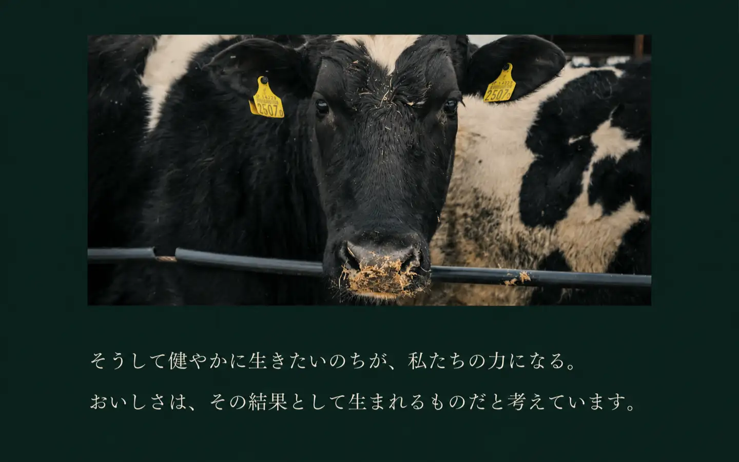そうして健やかに生きたいのちが、私たちの力になる。,おいしさは、その結果として生まれるものだと考えています。