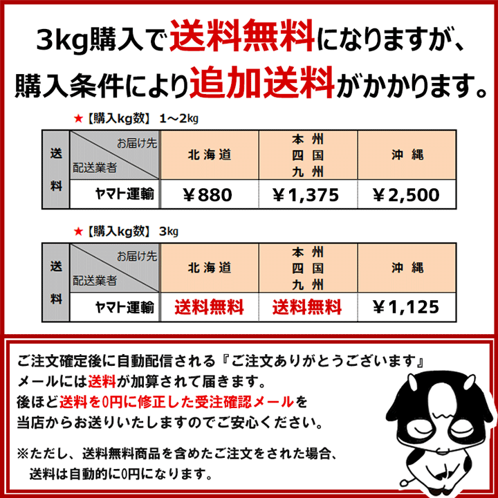 送料無料